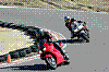 DSCF1441.JPG